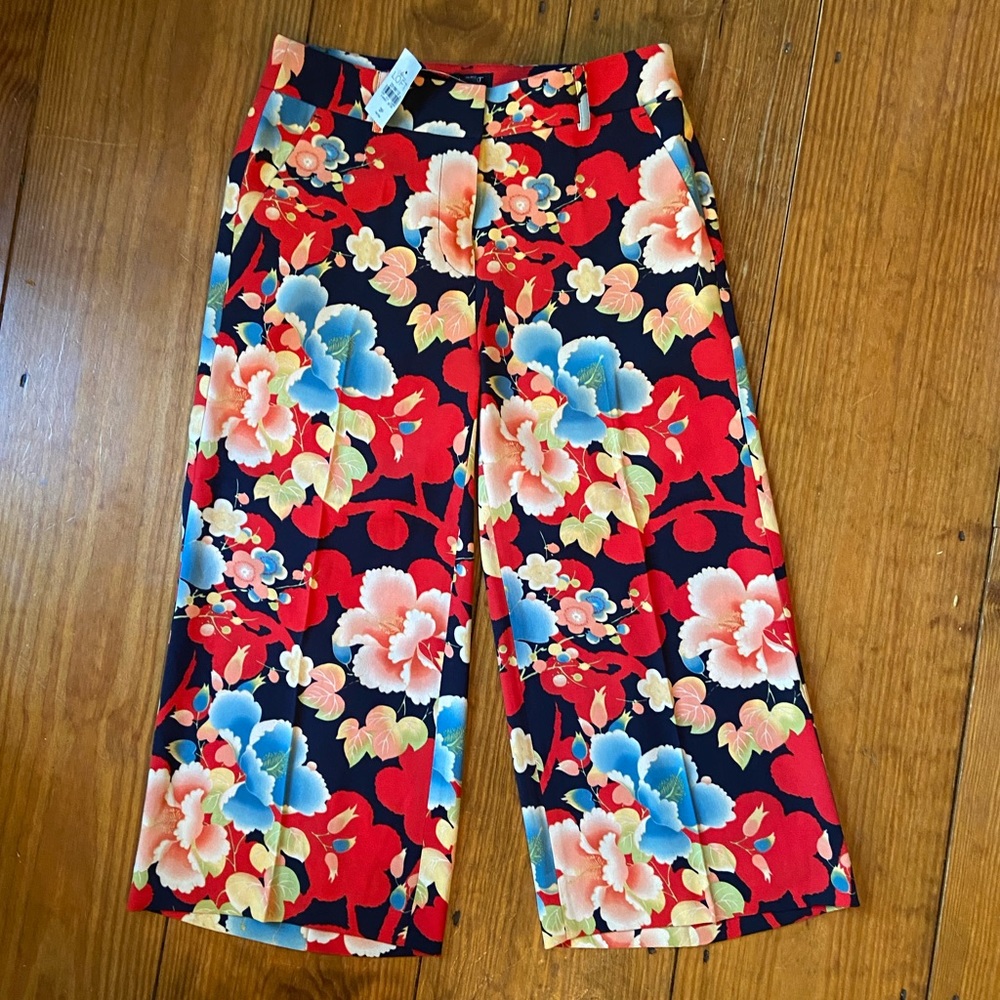 NEW Ann Taylor Loft Gaucho Pants